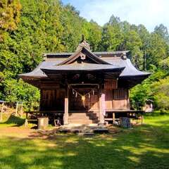 写真