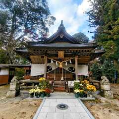 立野神社(投稿日:2025年11月18日) 写真