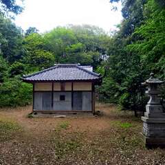 写真