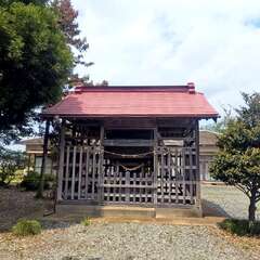 写真