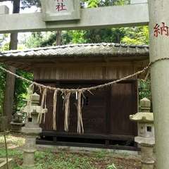 写真