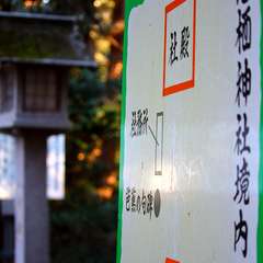 投稿日:2015年1月6日 写真