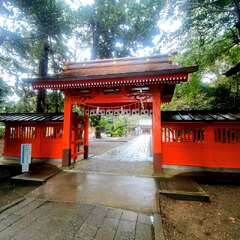 投稿日:2025年10月20日 写真