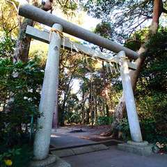 投稿日:2015年1月6日 写真