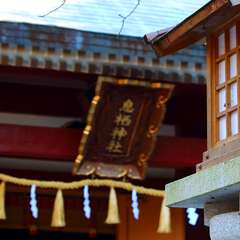 投稿日:2015年1月6日 写真