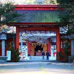 投稿日:2015年1月6日 写真