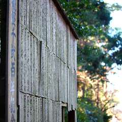 投稿日:2015年1月6日 写真