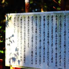 投稿日:2015年1月6日 写真