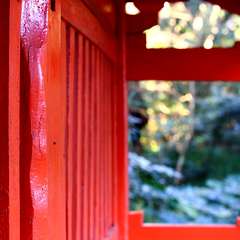 投稿日:2015年1月6日 写真