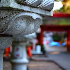 投稿日:2015年1月6日 写真