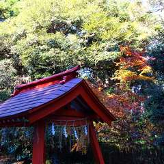 投稿日:2015年1月6日 写真