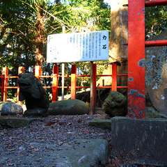 投稿日:2015年1月6日 写真