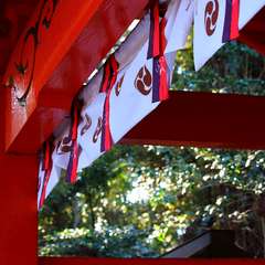 投稿日:2015年1月6日 写真