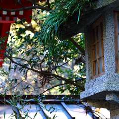 投稿日:2015年1月6日 写真