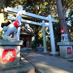 投稿日:2015年1月6日 写真