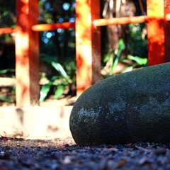 投稿日:2015年1月6日 写真