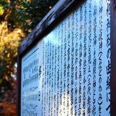 投稿日:2015年1月6日 写真