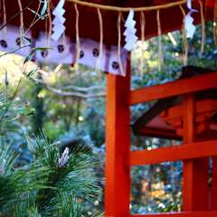 投稿日:2015年1月6日 写真