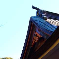 投稿日:2015年1月6日 写真