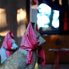 投稿日:2015年1月6日 写真