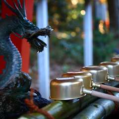 投稿日:2015年1月6日 写真