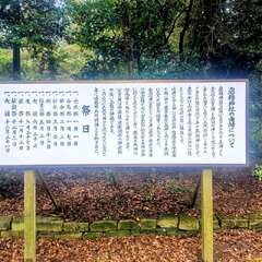 投稿日:2025年10月20日 写真