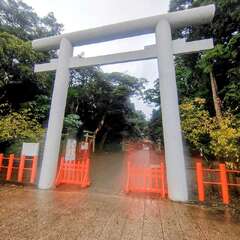 投稿日:2025年10月20日 写真