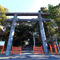 投稿日:2015年1月6日 写真