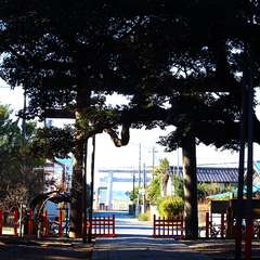 投稿日:2015年1月6日 写真