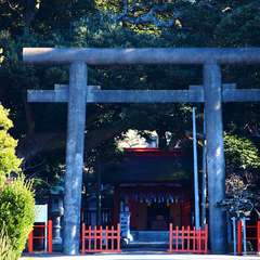 投稿日:2015年1月6日 写真