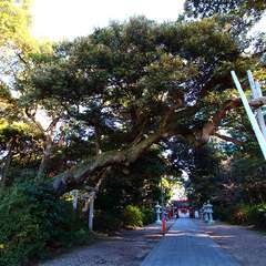 投稿日:2015年1月6日 写真