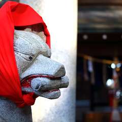 投稿日:2015年1月6日 写真