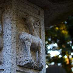 投稿日:2015年1月6日 写真