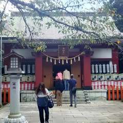 投稿日:2017年10月8日 写真