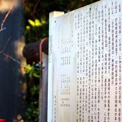 投稿日:2015年1月6日 写真