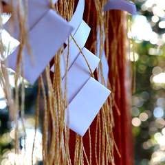 投稿日:2015年1月6日 写真