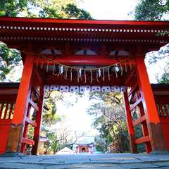 投稿日:2015年1月6日 写真