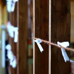 投稿日:2015年1月6日 写真