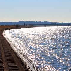 投稿日:2015年1月6日 写真