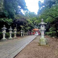 投稿日:2025年10月20日 写真