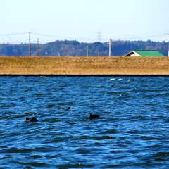 投稿日:2015年1月6日 写真