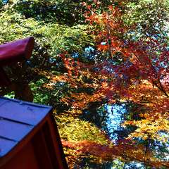 投稿日:2015年1月6日 写真