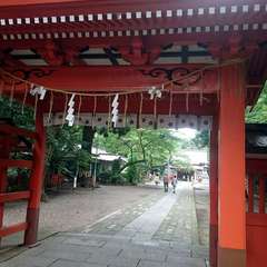 投稿日:2019年7月21日 写真