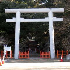 投稿日:2023年12月9日 写真