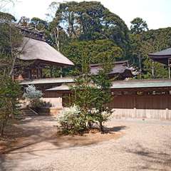 投稿日:2021年4月4日 写真