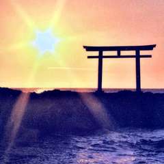 投稿日:2021年4月2日 写真