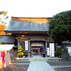 投稿日:2025年7月26日 写真