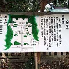 投稿日:2021年4月4日 写真