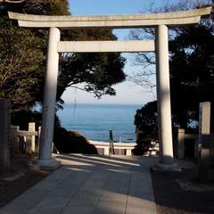 投稿日:2016年3月21日 写真