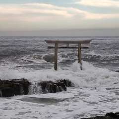 投稿日:2024年10月19日 写真